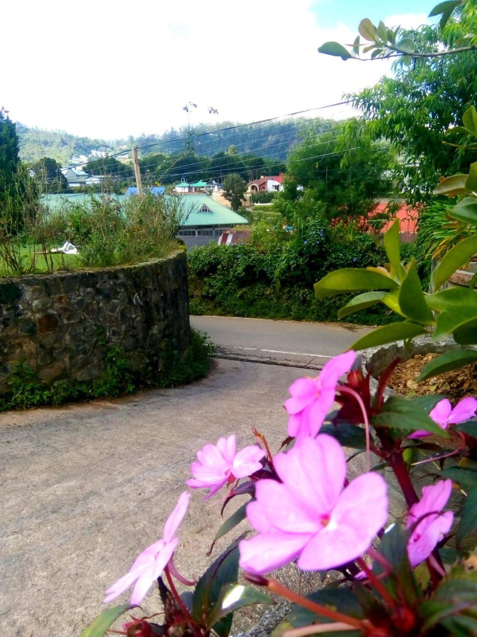 Nuwara Eliya Mountain View Homestay Luaran gambar