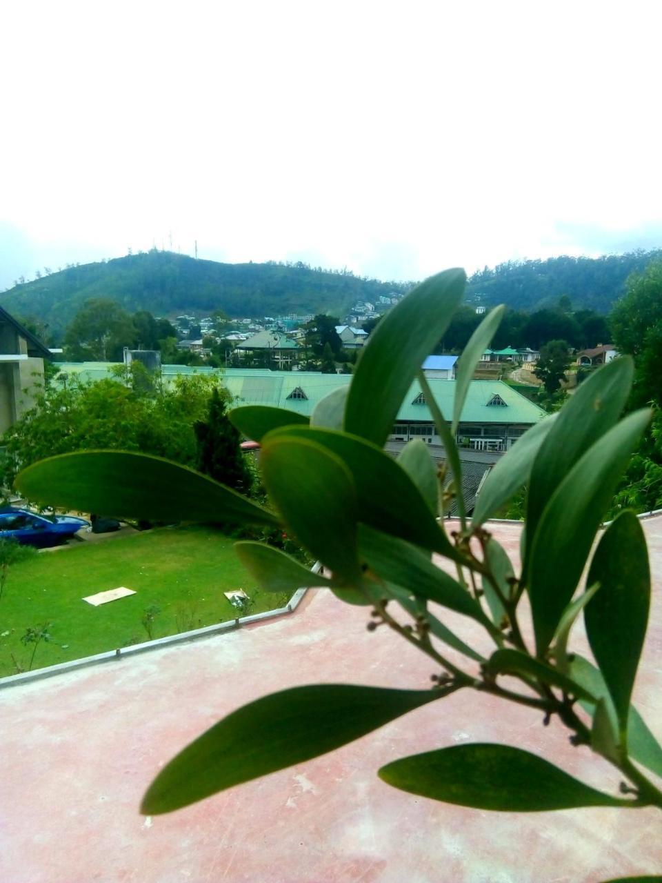 Nuwara Eliya Mountain View Homestay Luaran gambar