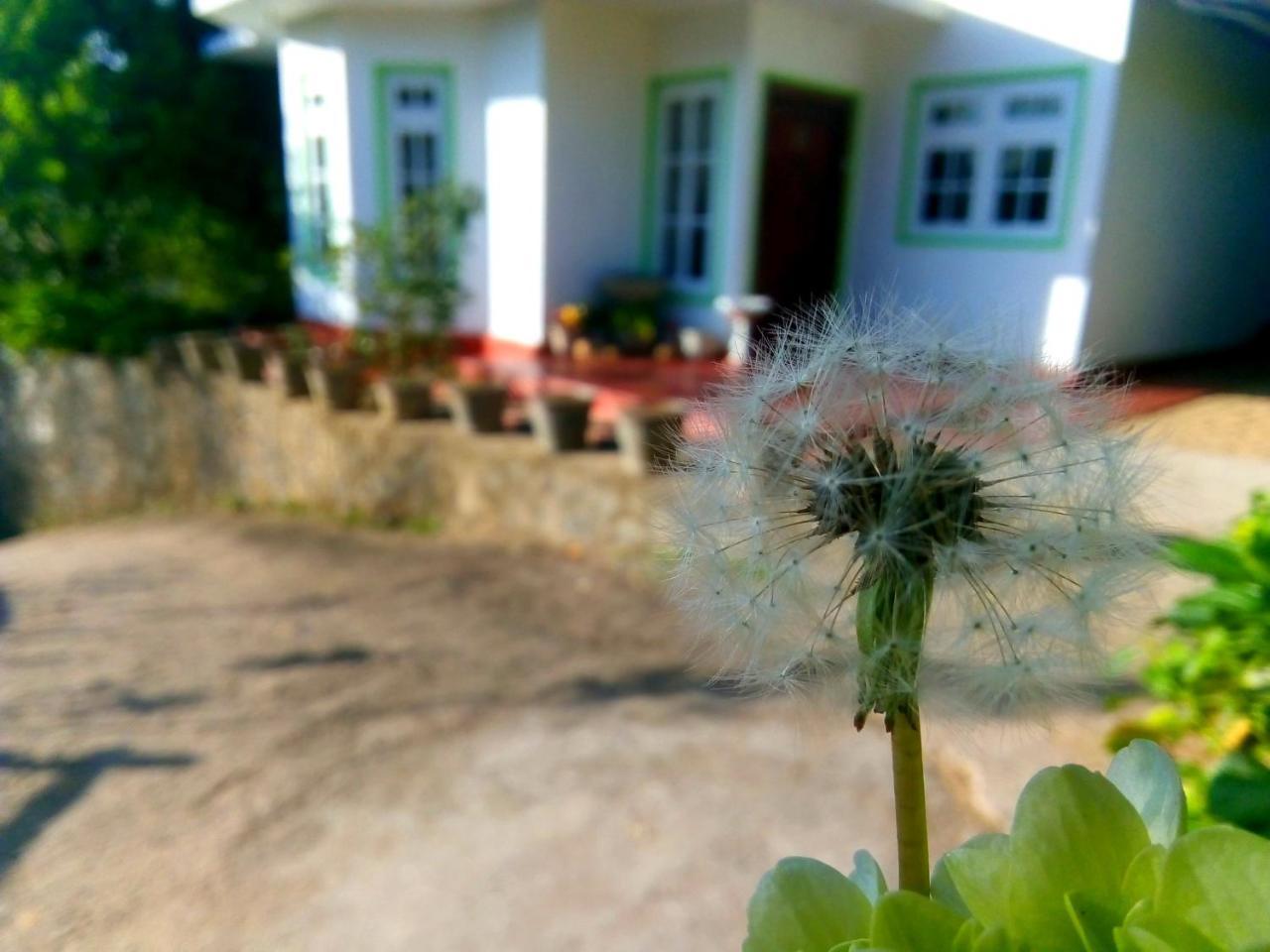 Nuwara Eliya Mountain View Homestay Luaran gambar