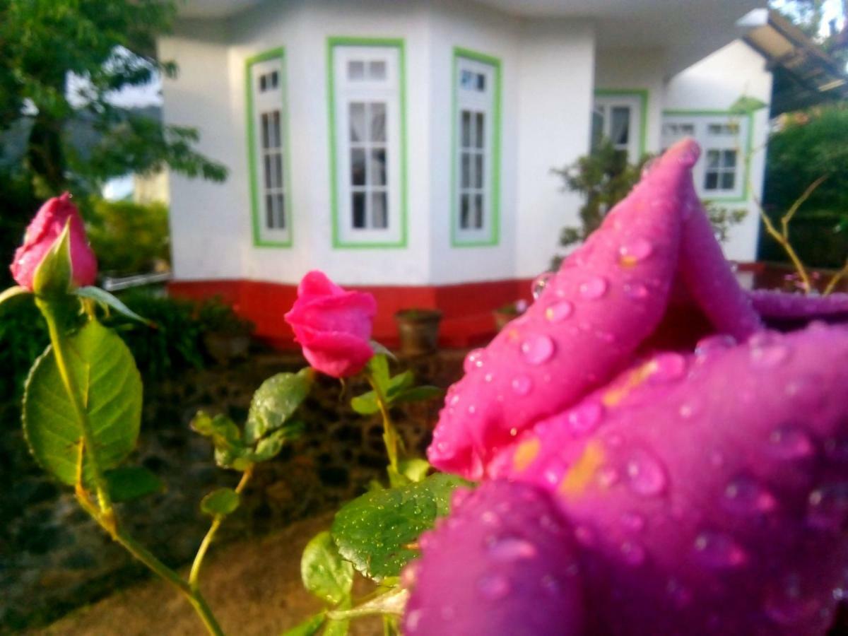 Nuwara Eliya Mountain View Homestay Luaran gambar