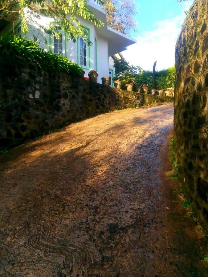 Nuwara Eliya Mountain View Homestay Luaran gambar